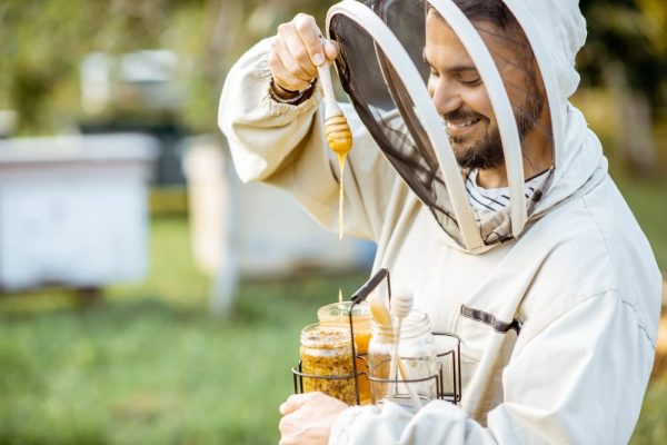 Concevoir la meilleure étiquette apiculture